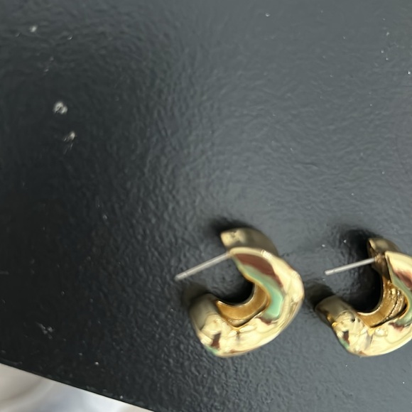 Jenny Bird NWOT Doune Chunky Hoop Earrings - Picture 5 of 9